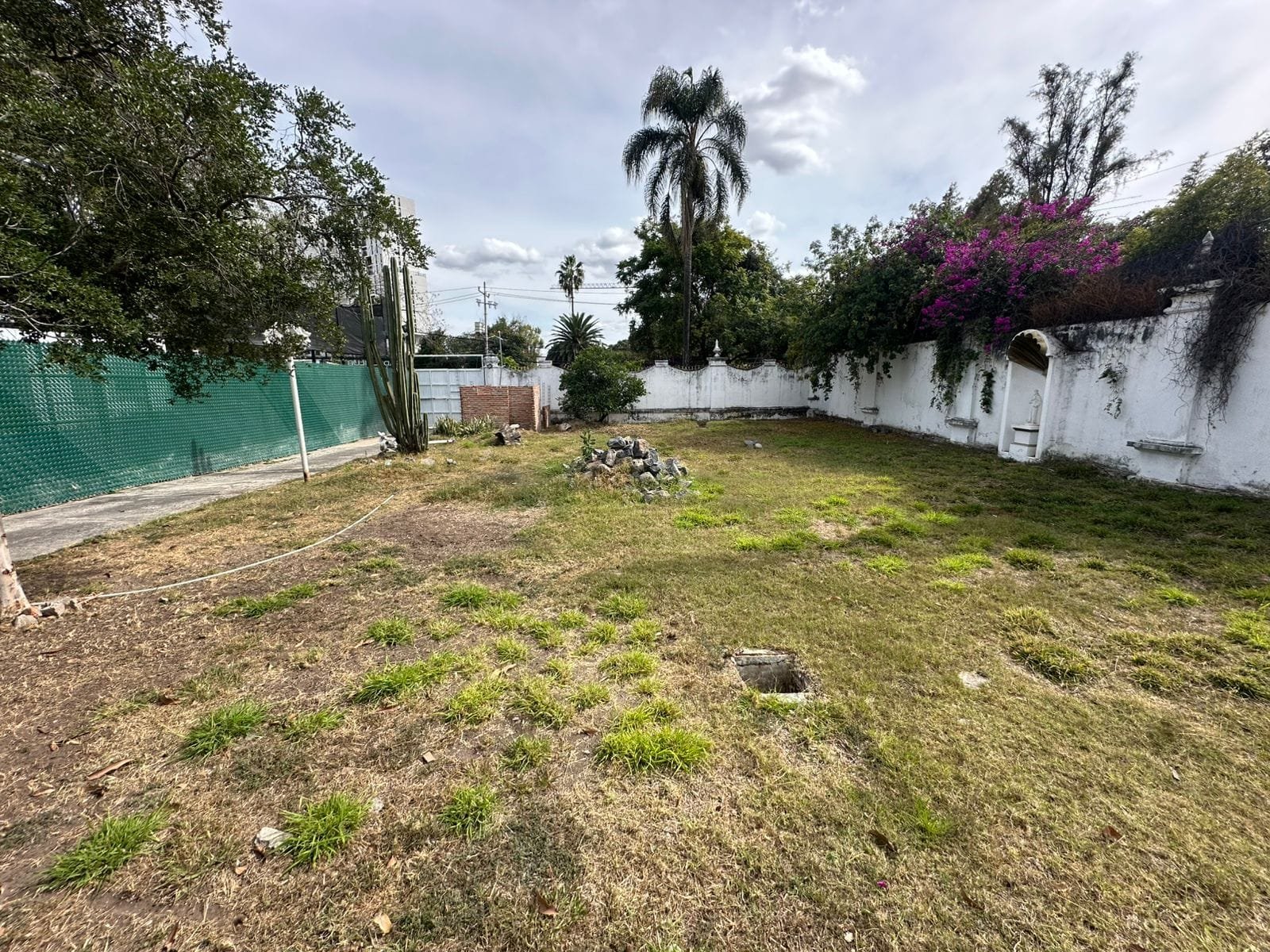 Terreno en Renta en Cd. Granja — miniatura 5