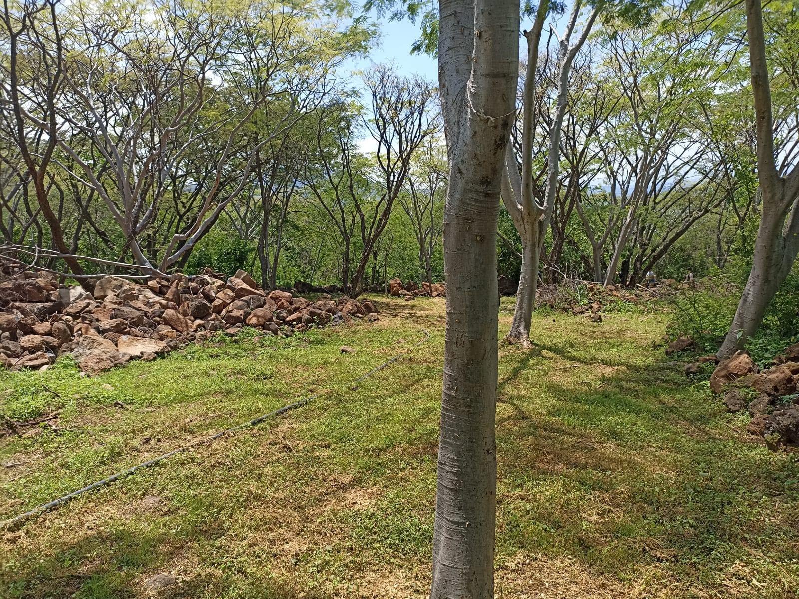 Preventa en Villas Mirador del Sol — miniatura 8