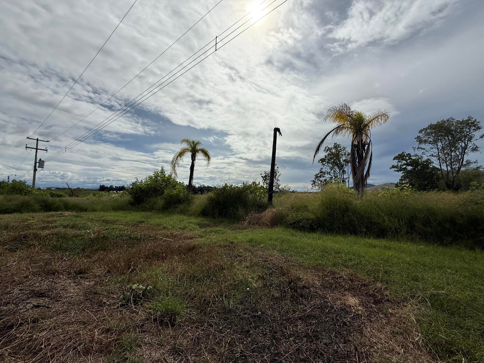 Terreno en venta cerca de Carr. Colotlan — miniatura 6