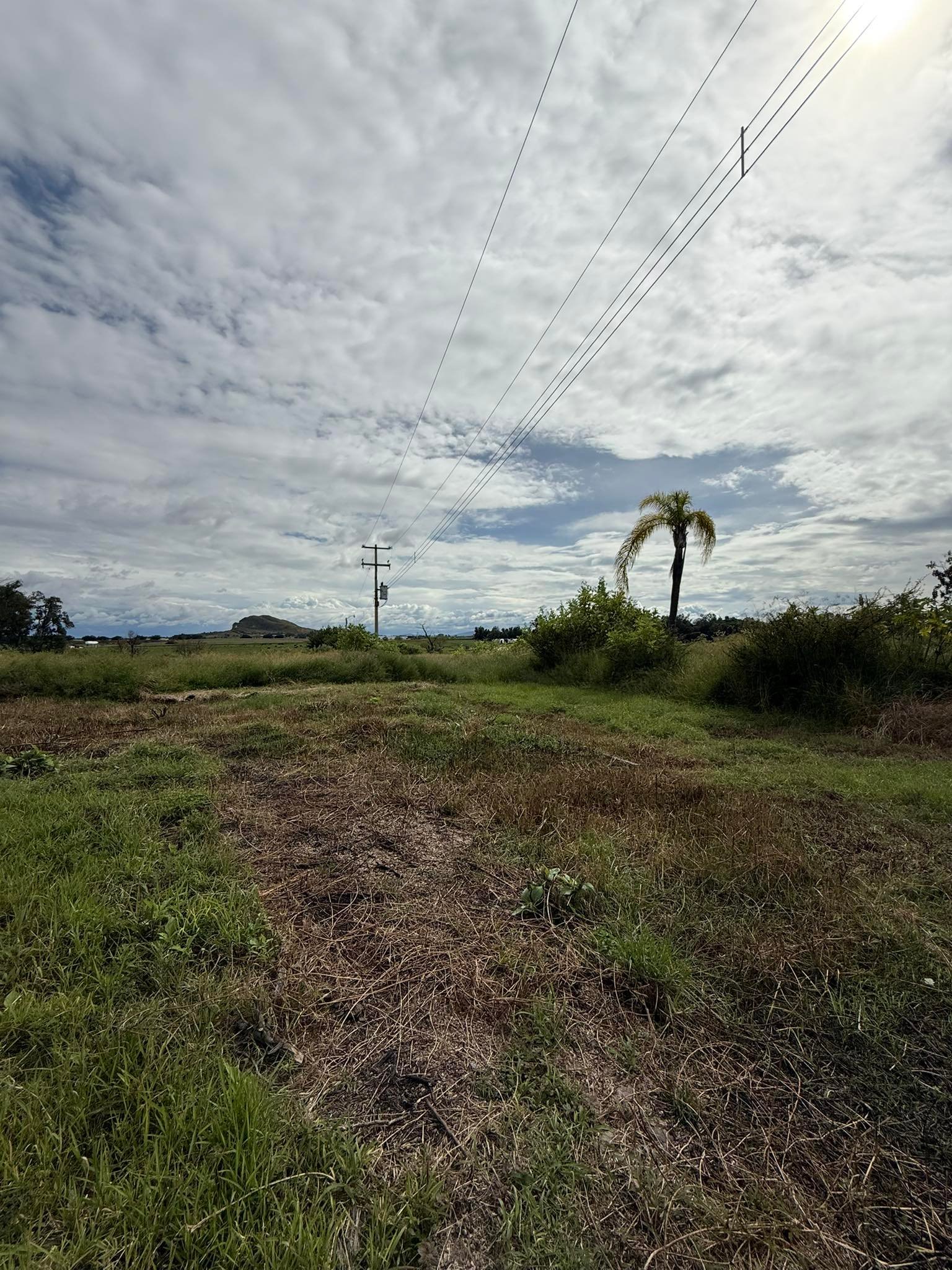 Terreno en venta cerca de Carr. Colotlan — miniatura 9