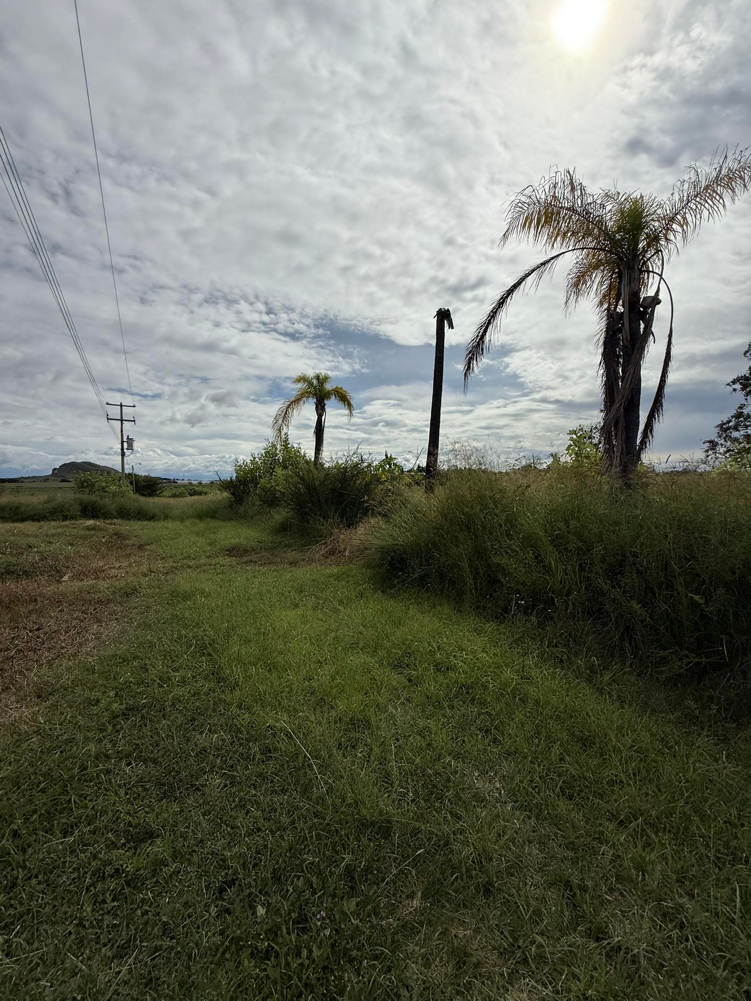 Terreno en venta cerca de Carr. Colotlan — miniatura 10