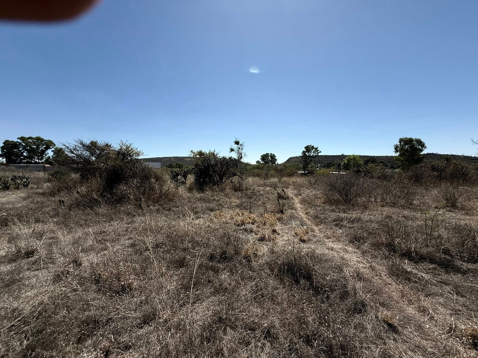 Terreno en Venta en Colonia el Tepetate, Lagos de Moreno — miniatura 2