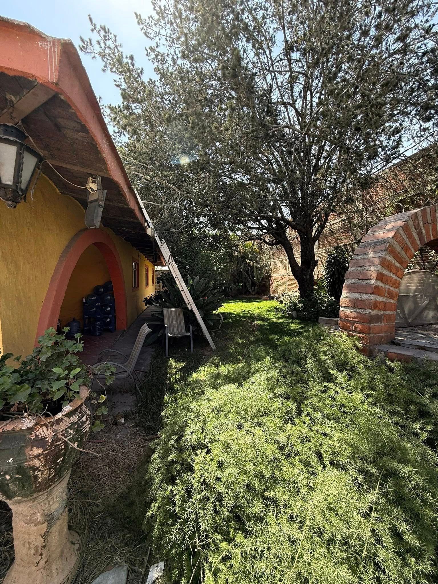 Terreno en Renta en Tonalá — miniatura 3