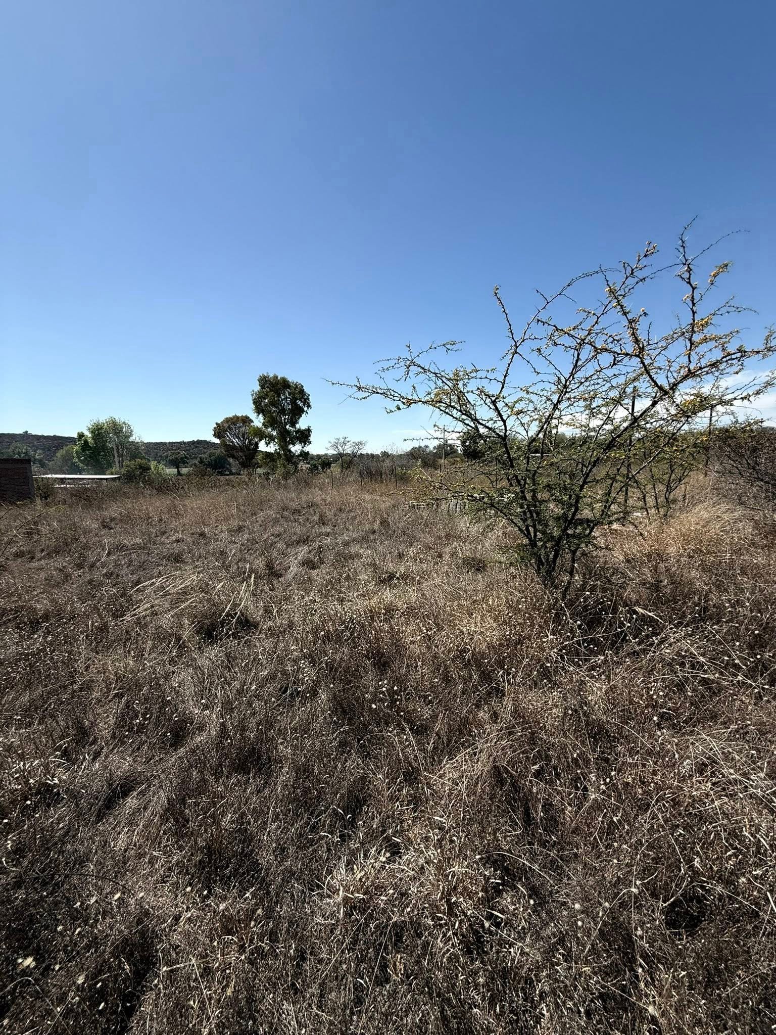 Terreno en Venta en Colonia el Tepetate, Lagos de Moreno — miniatura 5