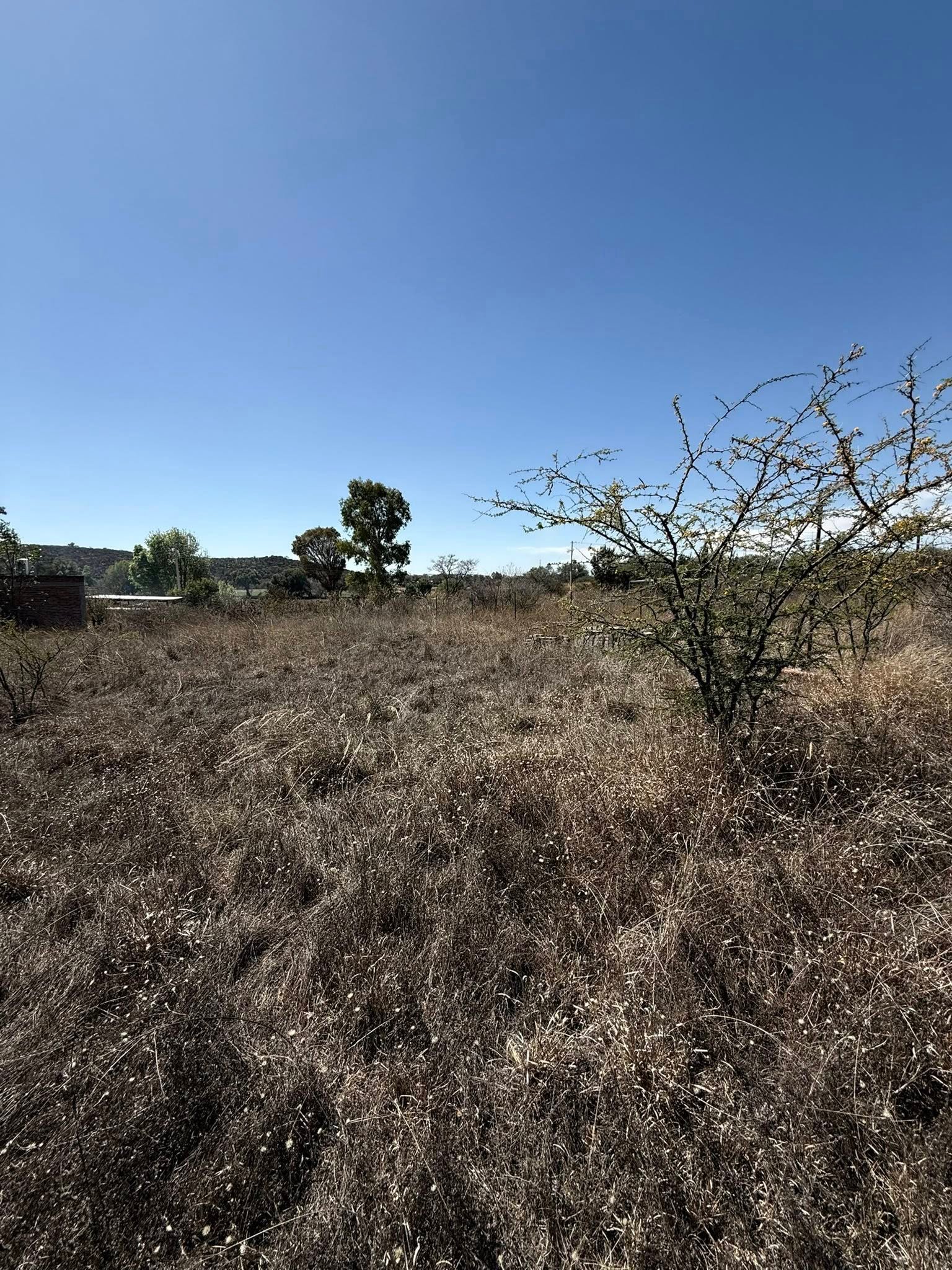 Terreno en Venta en Colonia el Tepetate, Lagos de Moreno — miniatura 6