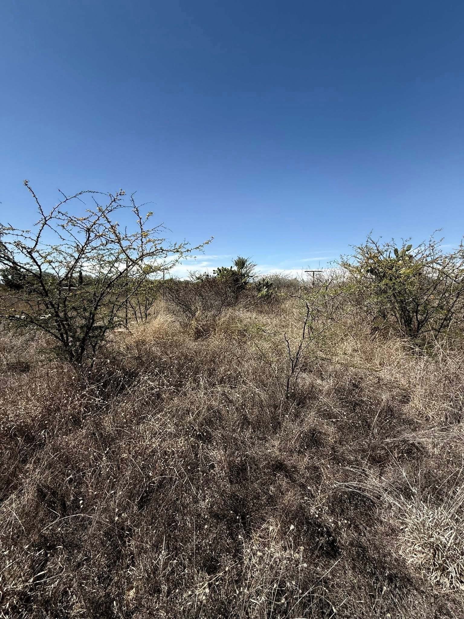 Terreno en Venta en Colonia el Tepetate, Lagos de Moreno — miniatura 8