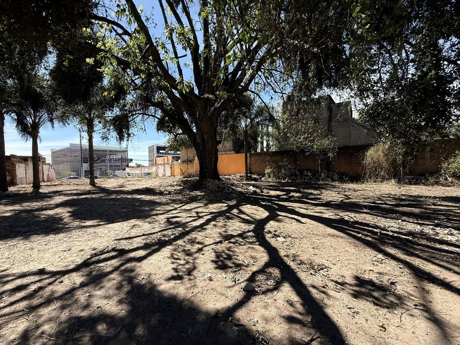 Terreno en Venta en Santa Lucia Tesistan, Zapopan — miniatura 12