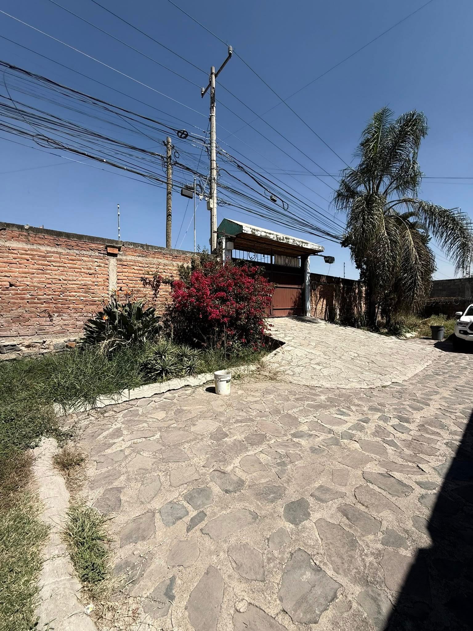Terreno en Renta en Tonalá — miniatura 13